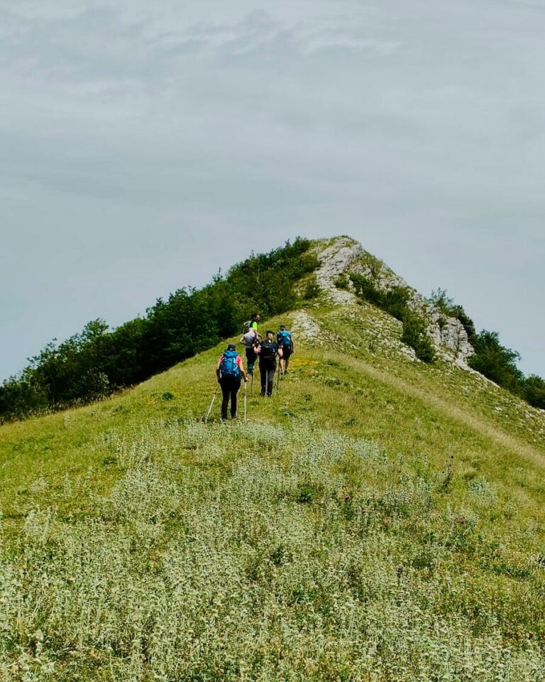 Scopri di più sull'articolo Sul selvaggio Monte Schioppettino
