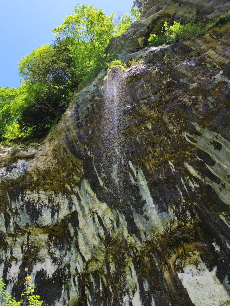 Scopri di più sull'articolo Fondarca “Wild”